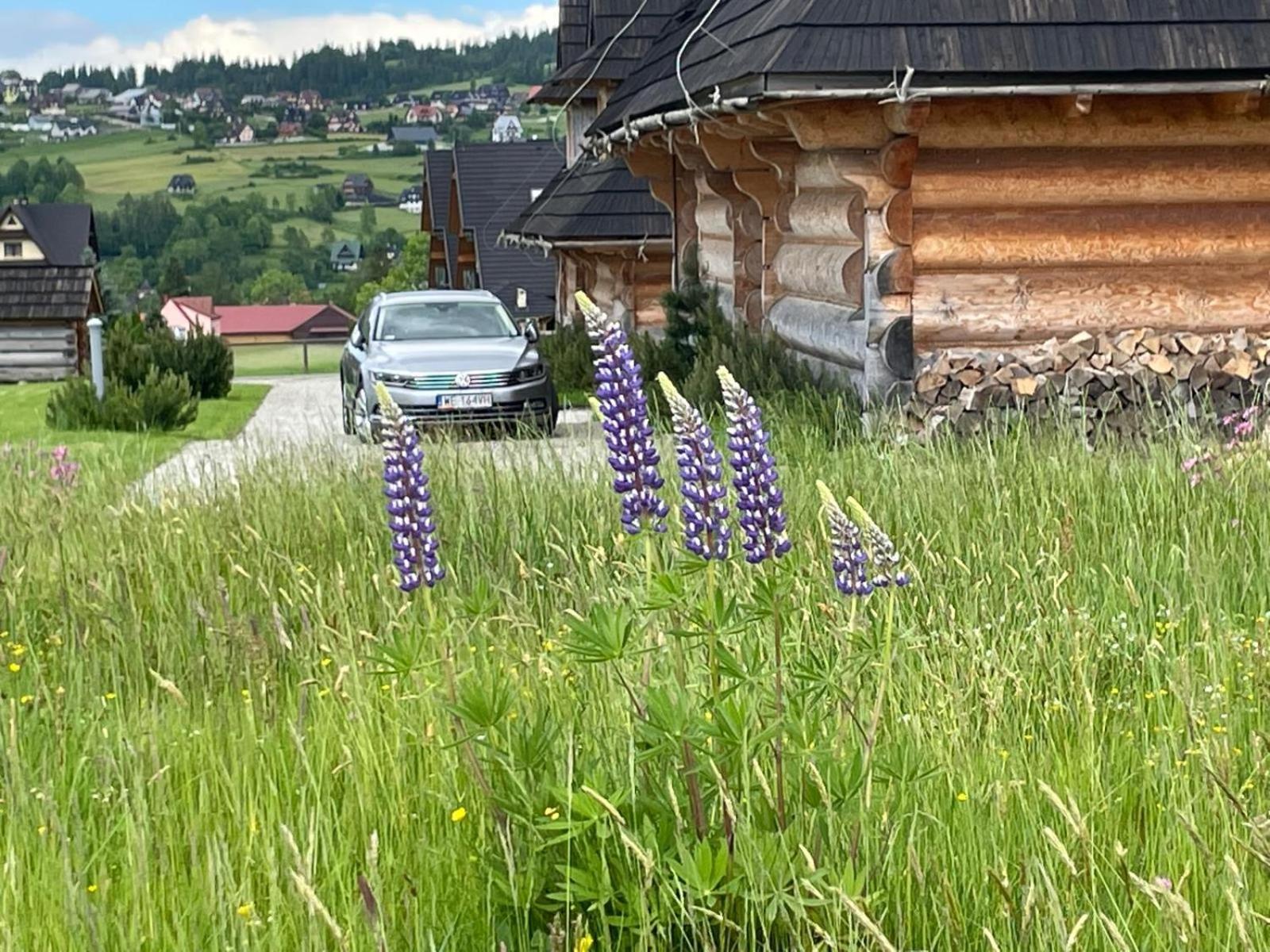 Sun&Ski Maciejowka Bialka Tatrzanska Dış mekan fotoğraf